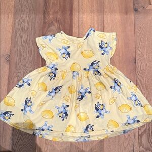 EUC Bluey Kids Dress 4T